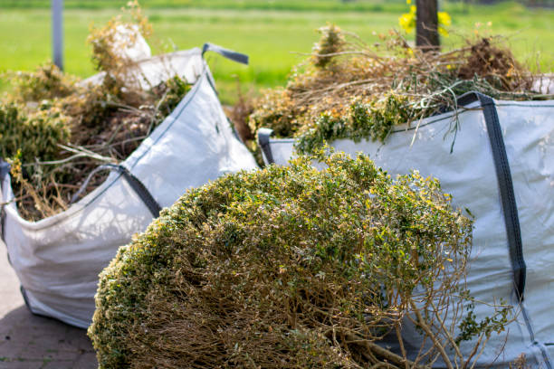 Best Office Junk Removal  in Greenwood, SC